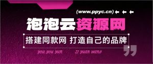 网站合伙人，月入5W+-泡泡云创网