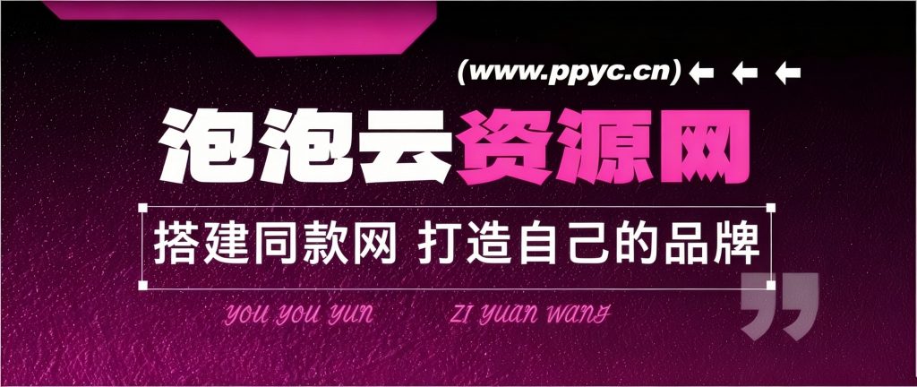 你还在到处找项目？还在当韭菜？我靠网创资源站一个月收入5万+，曾经我也是个失败者。-泡泡云创网